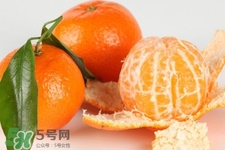 沙糖桔一天吃幾個(gè)最好？沙糖桔每天吃多少合適？