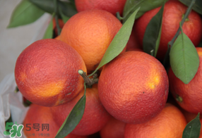 血橙多少錢一斤？四川血橙多少錢一斤？