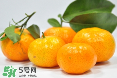 寶寶可以吃蜜桔嗎？寶寶能吃蜜桔嗎？
