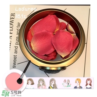 laduree拉杜麗5周年限定玫瑰腮紅多少錢？