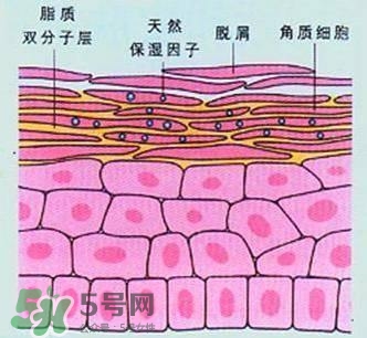 敷面膜真的有效嗎？敷面膜真的有用嗎？