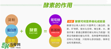 喝酵素拉肚子正常嗎？喝酵素拉肚子的原因