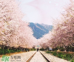 3月份去韓國穿什么？三月份去韓國穿什么衣服？