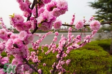 春天養(yǎng)生湯有哪些？春季養(yǎng)生喝什么湯好？