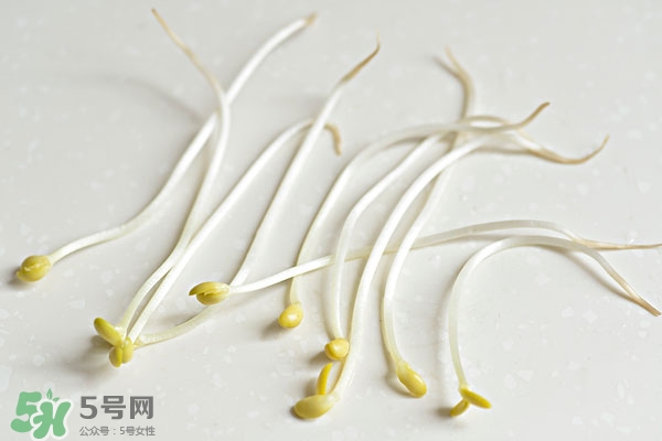 黃豆芽能做餡料嗎？黃豆芽餡包子怎么做？