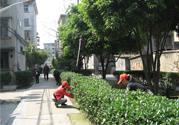 春天吃什么養(yǎng)肝？春季吃什么養(yǎng)肝護(hù)肝？