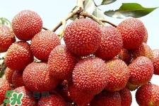 孕期吃荔枝會(huì)流產(chǎn)嗎？孕婦吃荔枝會(huì)好嗎？