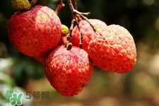 坐飛機(jī)能帶荔枝嗎？荔枝可以帶上飛機(jī)嗎？
