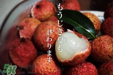 坐飛機(jī)能帶荔枝嗎？荔枝可以帶上飛機(jī)嗎？