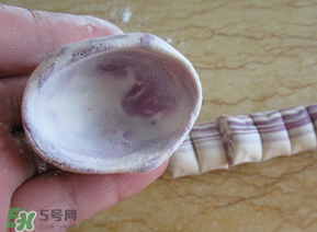 湯圓皮怎么做不破裂？湯圓皮怎么做耐煮？