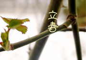 為什么春天容易生?。看禾烊菀咨裁床。?></a>
<p class=
