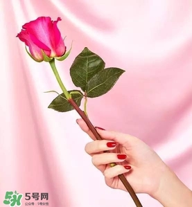 kate spade2017情人節(jié)包包多少錢(qián)？凱特絲蓓2017情人節(jié)包包哪里買(mǎi)？