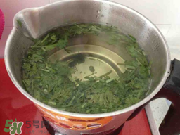 香菜煮水洗腎是真的嗎？香菜煮水洗腎是真的嗎