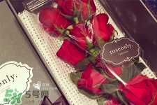 roseonly鮮花怎么保養(yǎng)？roseonly永生花怎么保養(yǎng)？