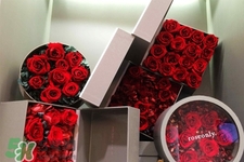 roseonly鮮花多少錢？roseonly永生花多少錢？