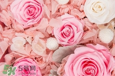 情人節(jié)一般送幾朵花？情人節(jié)送多少朵花好？