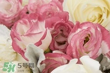 七夕情人節(jié)有必要送花嗎？情人節(jié)為什么要送花？