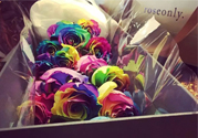 roseonly鮮花多少錢？roseonly永生花多少錢？