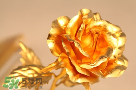 情人節(jié)可以送金玫瑰嗎？情人節(jié)送金玫瑰好嗎？
