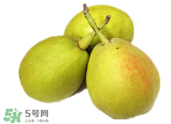 香梨多少錢一斤？香梨怎么挑選？