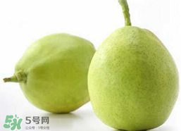香梨多少錢一斤？香梨怎么挑選？