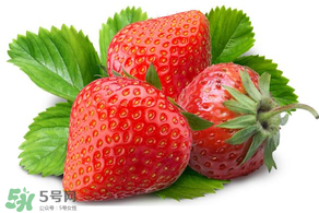 小孩多吃草莓好嗎？小孩可以摘草莓嗎？