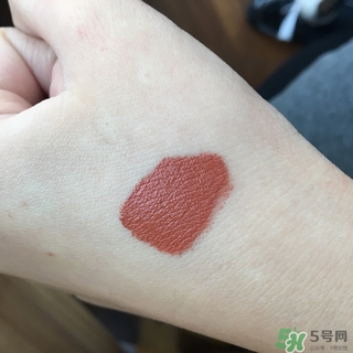 南瓜棕是什么顏色？南瓜棕口紅試色