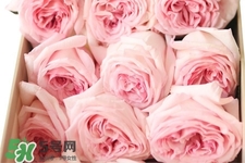 鮮花怎么養(yǎng)？鮮花怎么養(yǎng)放的比較久？