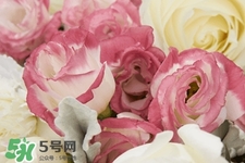 鮮花怎么養(yǎng)？鮮花怎么養(yǎng)放的比較久？