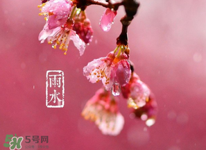 雨水吃什么？雨水節(jié)氣飲食禁忌？