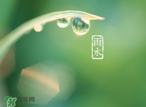 雨水吃什么？雨水節(jié)氣飲食禁忌？