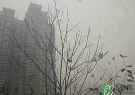霧霾天開空調(diào)會不會污染室內(nèi)空氣？