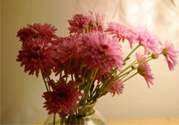 鮮花怎么養(yǎng)？鮮花怎么養(yǎng)放的比較久？