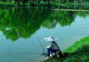春天釣魚用什么餌料？春天釣魚用腥還是香？