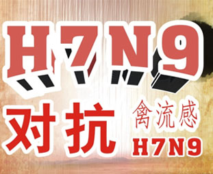 禽流感期間吃什么？預(yù)防禽流感吃什么好？