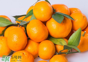 桔子批發(fā)多少錢一斤？桔子多少錢一斤？