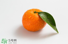桔子批發(fā)多少錢一斤？桔子多少錢一斤？