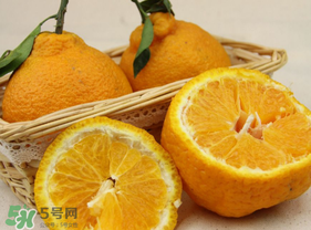 丑橘少錢一斤？丑橘一斤幾個(gè)？