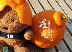丑橘少錢一斤？丑橘一斤幾個(gè)？