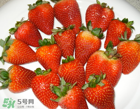 奶油草莓是什么品種？奶油草莓和巧克力草莓的區(qū)別 