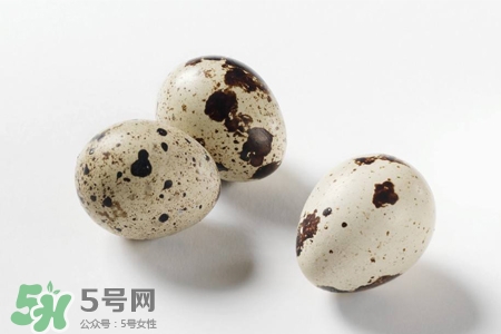 禽流感可以吃鵪鶉蛋嗎？禽流感期間能吃鵪鶉蛋嗎？