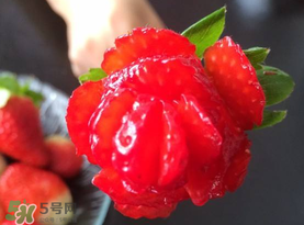 草莓花束怎么做？草莓花束怎么扎起來？