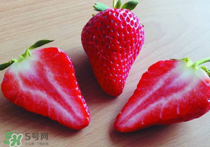 九九草莓多少錢一斤？99草莓價(jià)格是多少？