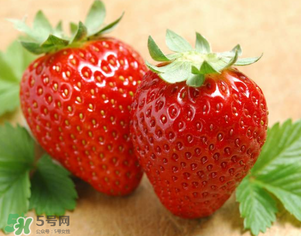 九九草莓好嗎？九九草莓和牛奶草莓區(qū)別 
