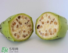 野香蕉可以吃嗎？野香蕉怎么吃？