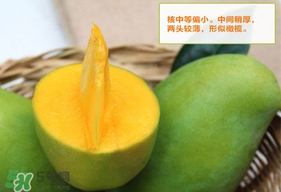 青芒果硬的能吃嗎？青芒果沒熟能吃嗎？