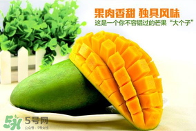 青芒果硬的能吃嗎？青芒果沒熟能吃嗎？