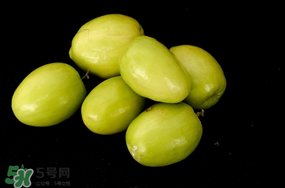 青棗什么時候上市？青棗什么時候成熟？