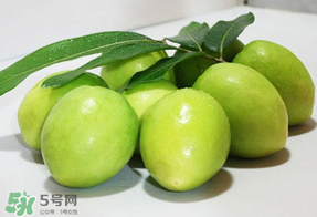 青棗什么時候上市？青棗什么時候成熟？