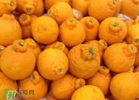 丑橘是轉(zhuǎn)基因嗎？丑八怪是轉(zhuǎn)基因的嗎？